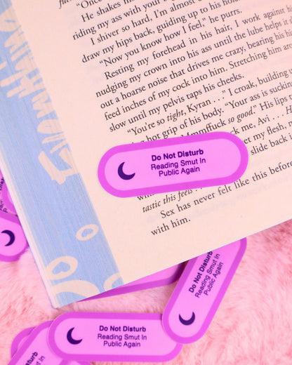 funny booktok sticker, do not disturb reading smut in public, spicy books, spicy book lover, romance reader, romantasy, dark romance, bookish gift, waterproof